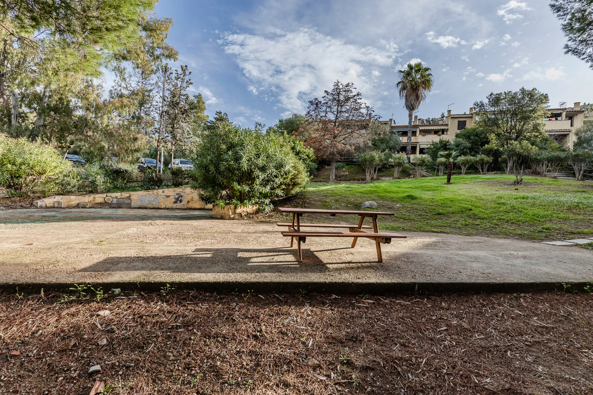 Area picnic comune del villaggio Marina delle Nereidi: tavolo in legno al centro, sentiero sterrato, prato verde, vegetazione mediterranea con palma e olivi, case beige sullo sfondo.