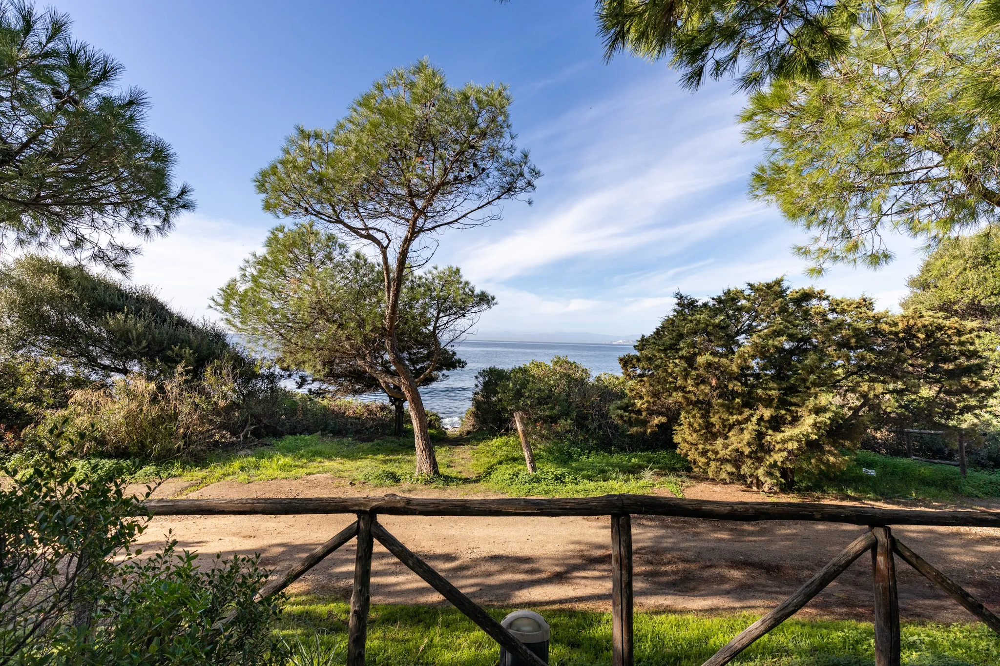 Vista dal balcone della suite: pino marittimo solitario al centro, steccato in legno rustico in primo piano, mare blu del Golfo di Cagliari all'orizzonte attraverso la pineta.