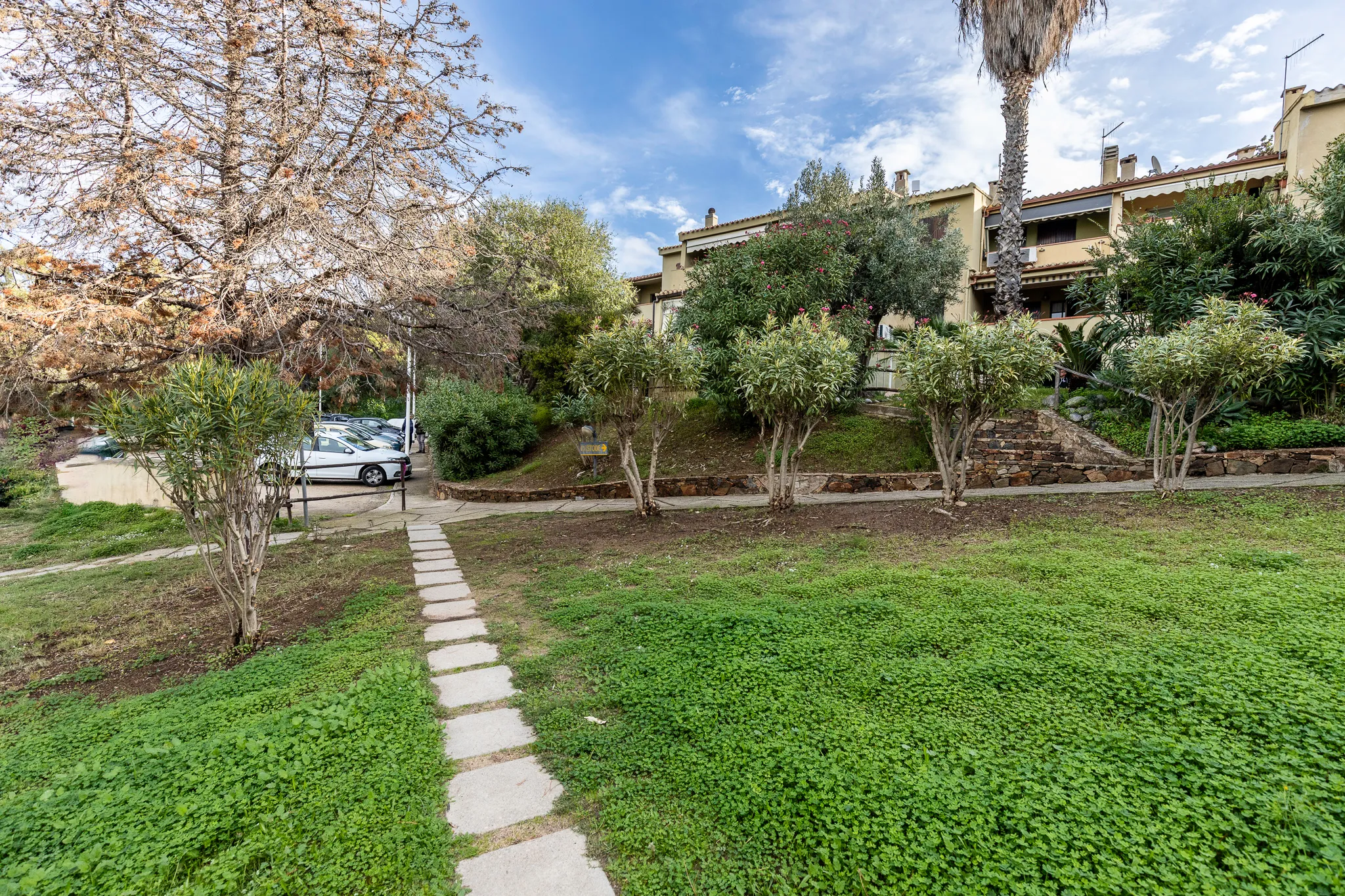 Vialetto del villaggio Marina delle Nereidi: sentiero in pietra tra il prato verde, edifici beige, parcheggio dedicato visibile, palma.